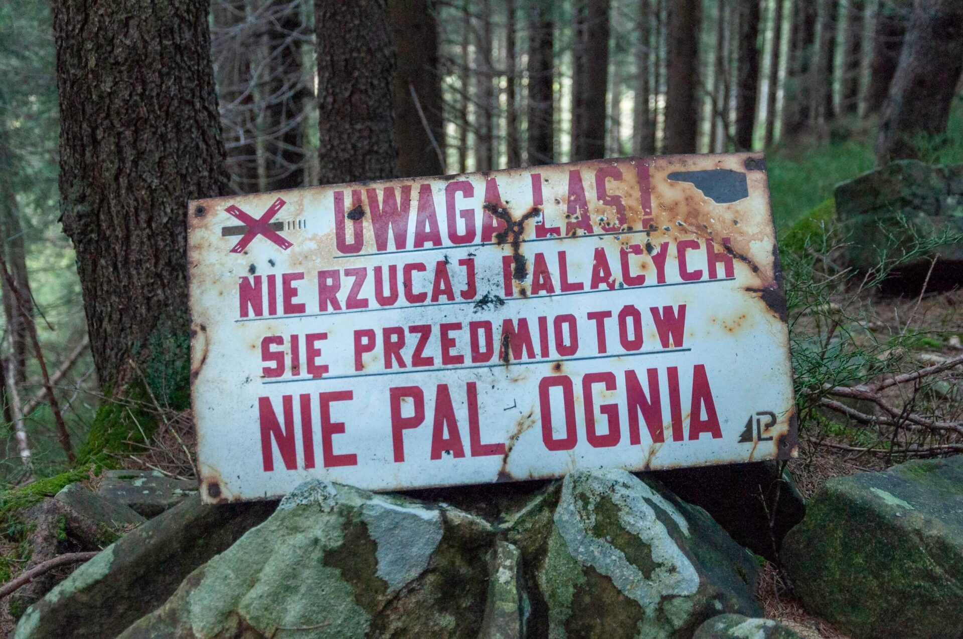 Stara tablica w lesie z napisem Uwaga las, nie rzucaj palących się przedmiotów, nie pal ognia